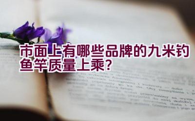 市面上有哪些品牌的九米钓鱼竿质量上乘？插图