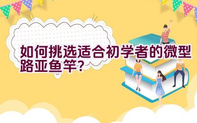 如何挑选适合初学者的微型路亚鱼竿？插图
