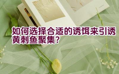 如何选择合适的诱饵来引诱黄刺鱼聚集？插图