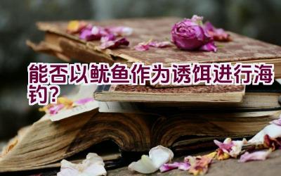 能否以鱿鱼作为诱饵进行海钓？插图