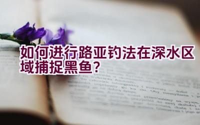 如何进行路亚钓法在深水区域捕捉黑鱼？插图