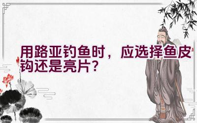 用路亚钓鱼时，应选择鱼皮钩还是亮片？插图