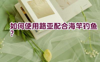 如何使用路亚配合海竿钓鱼？插图