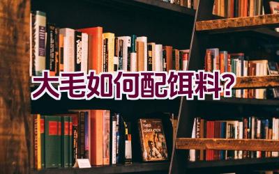 大毛如何配饵料？插图