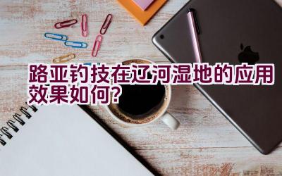 路亚钓技在辽河湿地的应用效果如何？插图