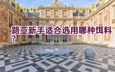 路亚新手适合选用哪种饵料？插图