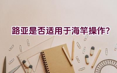 路亚是否适用于海竿操作？插图