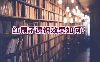 红尾子诱饵效果如何？插图