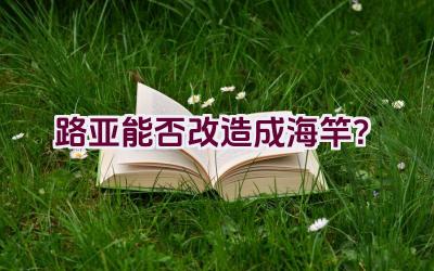 路亚能否改造成海竿？插图
