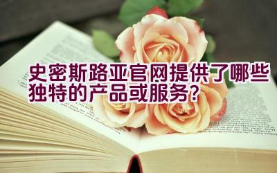 史密斯路亚官网提供了哪些独特的产品或服务？插图