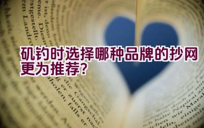 矶钓时选择哪种品牌的抄网更为推荐？插图