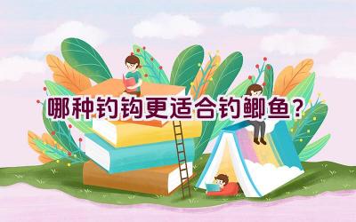 哪种钓钩更适合钓鲫鱼？插图