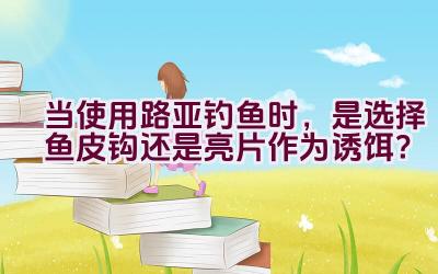当使用路亚钓鱼时，是选择鱼皮钩还是亮片作为诱饵？插图