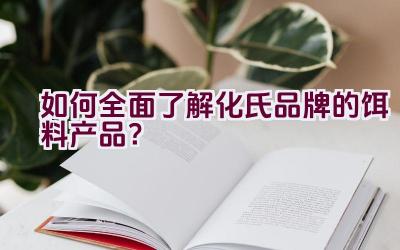 如何全面了解化氏品牌的饵料产品？插图