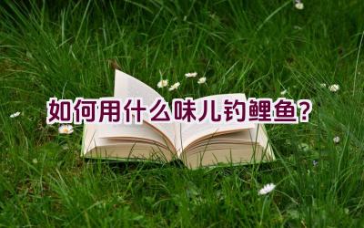 如何用什么味儿钓鲤鱼？插图
