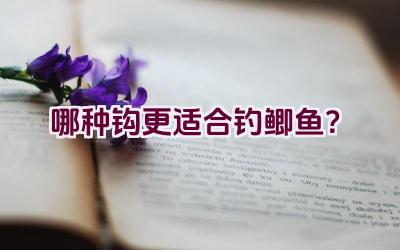 哪种钩更适合钓鲫鱼？插图