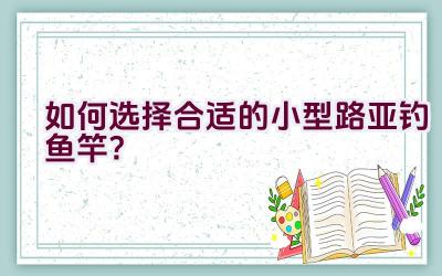 如何选择合适的小型路亚钓鱼竿？插图