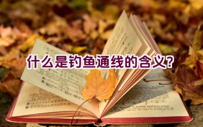 什么是”钓鱼通线”的含义？插图