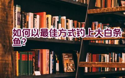 如何以最佳方式钓上大白条鱼？插图