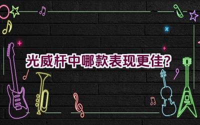 光威杆中哪款表现更佳？插图