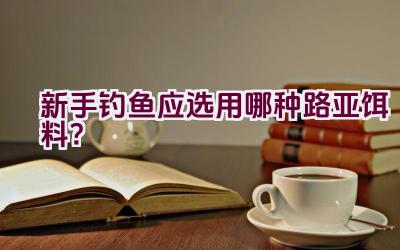 新手钓鱼应选用哪种路亚饵料？插图
