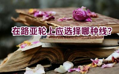 在路亚轮上应选择哪种线？插图