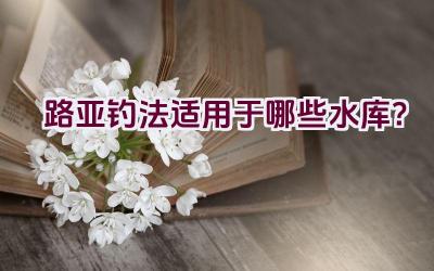 路亚钓法适用于哪些水库？插图