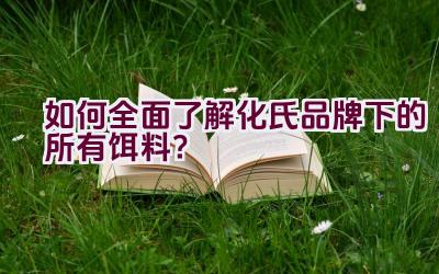 如何全面了解化氏品牌下的所有饵料？插图