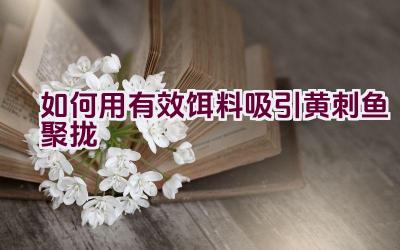 如何用有效饵料吸引黄刺鱼聚拢插图