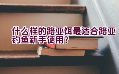 什么样的路亚饵最适合路亚钓鱼新手使用？插图