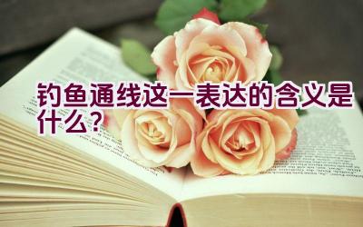 “钓鱼通线”这一表达的含义是什么？插图