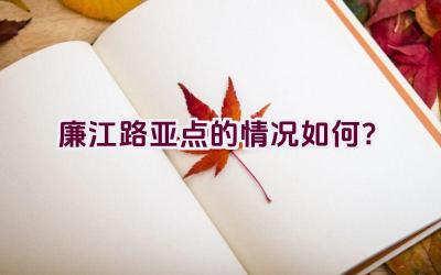 廉江路亚点的情况如何？插图