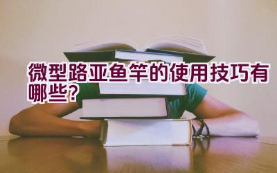 微型路亚鱼竿的使用技巧有哪些？插图