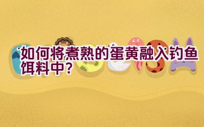 如何将煮熟的蛋黄融入钓鱼饵料中？插图