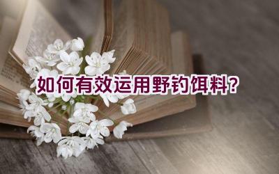 如何有效运用野钓饵料？插图