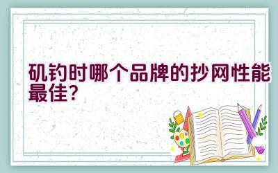矶钓时哪个品牌的抄网性能最佳?插图 矶钓时哪个品牌的抄网性能最佳?插图