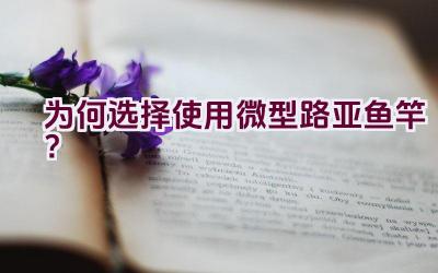 为何选择使用微型路亚鱼竿？插图
