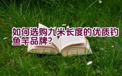 如何选购九米长度的优质钓鱼竿品牌？插图