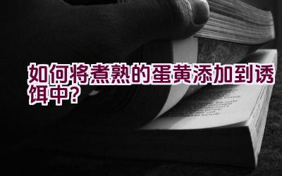如何将煮熟的蛋黄添加到诱饵中？插图