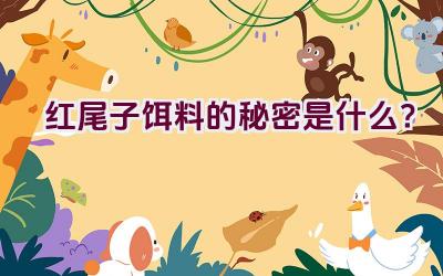 红尾子饵料的秘密是什么？插图