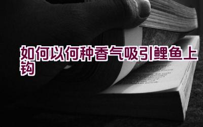 如何以何种香气吸引鲤鱼上钩插图