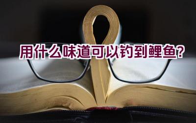 用什么味道可以钓到鲤鱼？插图