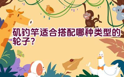 矶钓竿适合搭配哪种类型的轮子？插图