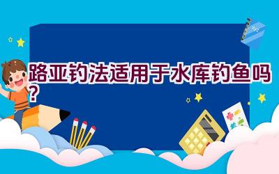 路亚钓法适用于水库钓鱼吗？插图