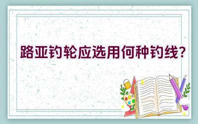 路亚钓轮应选用何种钓线?插图 路亚钓轮应选用何种钓线?插图