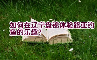 如何在辽宁盘锦体验路亚钓鱼的乐趣？插图