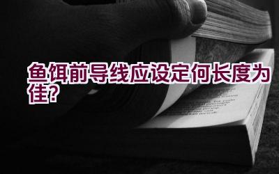 鱼饵前导线应设定何长度为佳？插图