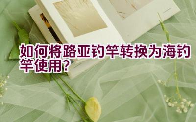如何将路亚钓竿转换为海钓竿使用？插图