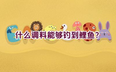 什么调料能够钓到鲤鱼？插图