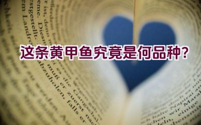 这条黄甲鱼究竟是何品种？插图